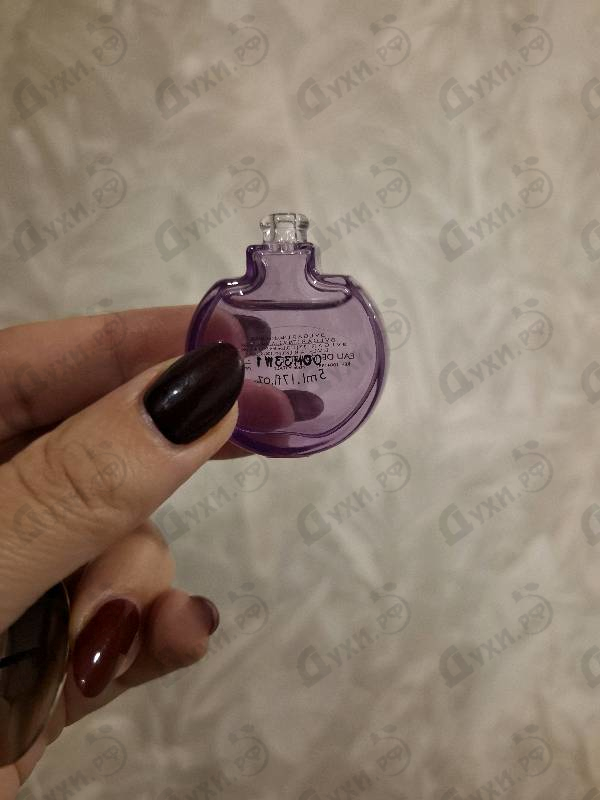 Купить Omnia Amethyste от Bvlgari