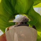 Отзыв Bvlgari Omnia Crystalline