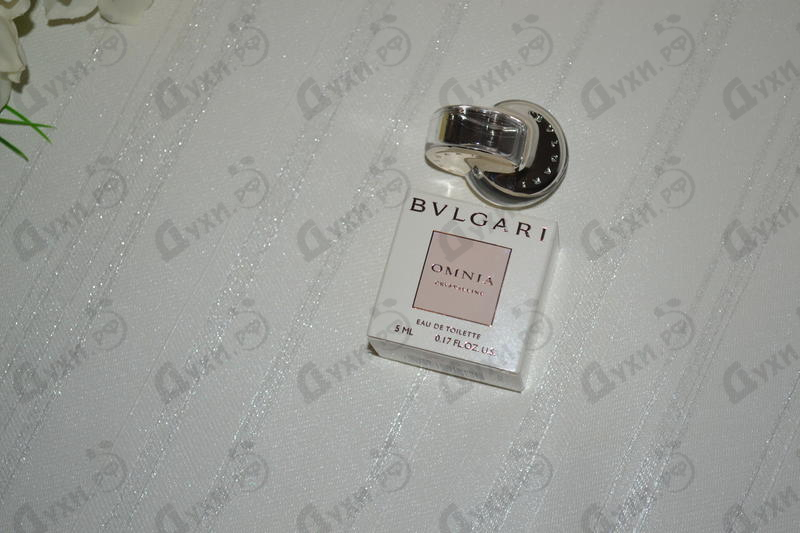 Купить Omnia Crystalline от Bvlgari