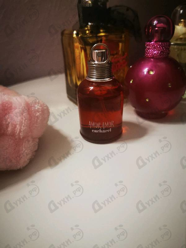 Купить Amor Amor от Cacharel