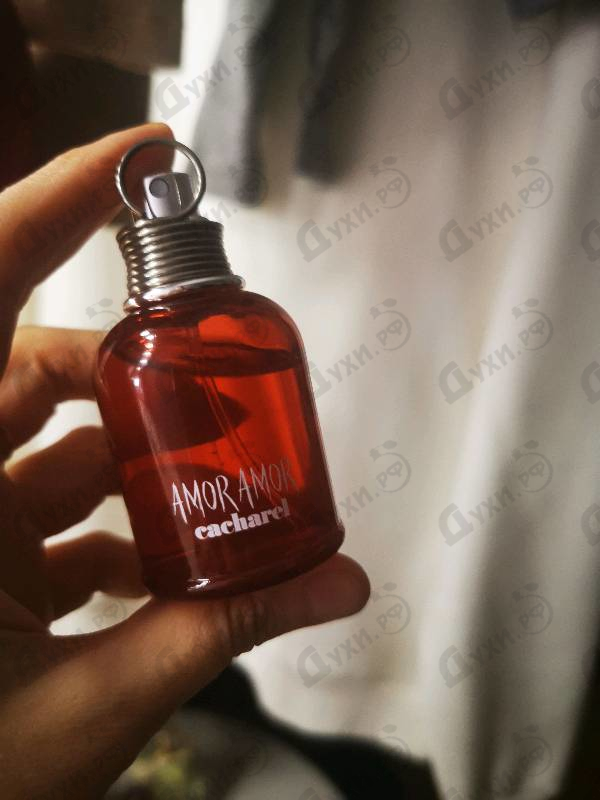 Парфюмерия Cacharel Amor Amor