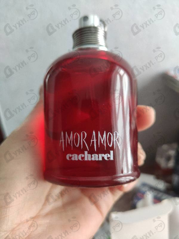 Отзыв Cacharel Amor Amor