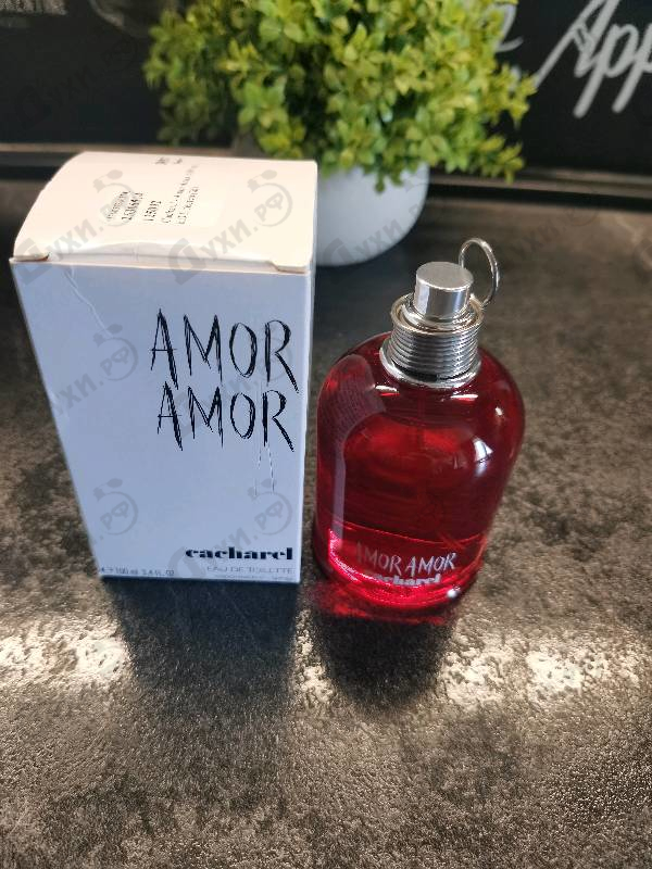 Купить Amor Amor от Cacharel
