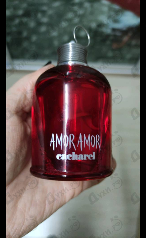 Отзыв Cacharel Amor Amor