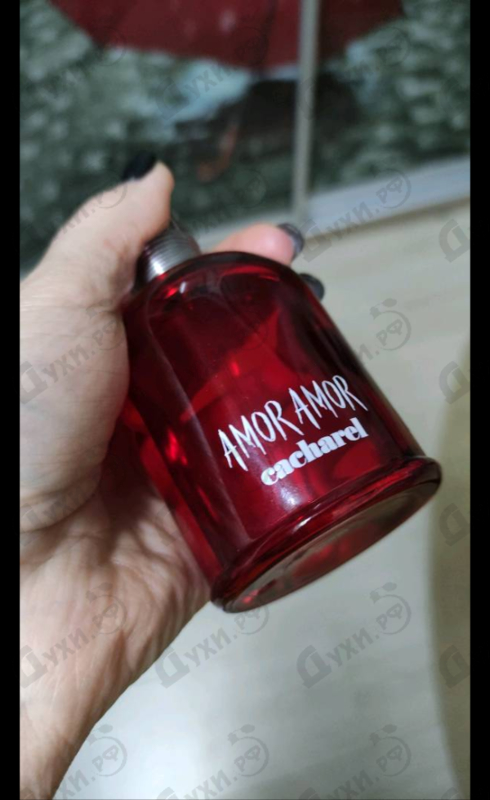 Парфюмерия Amor Amor от Cacharel