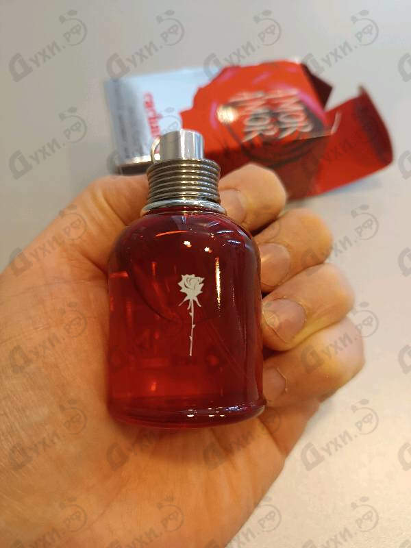 Парфюмерия Amor Amor от Cacharel