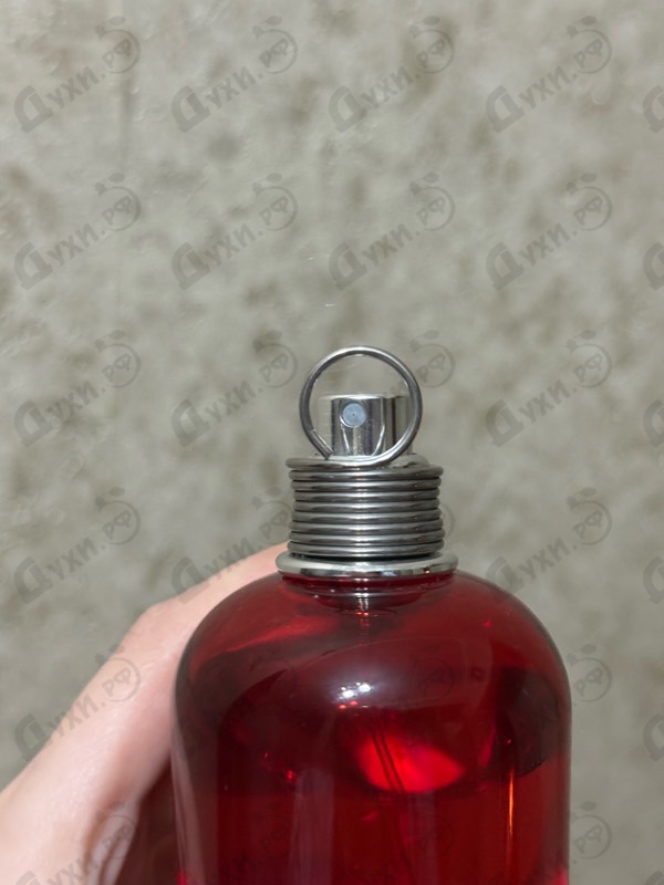 Парфюмерия Amor Amor от Cacharel