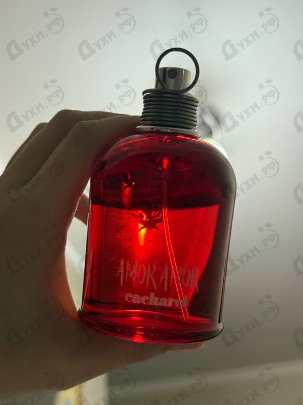 Парфюмерия Amor Amor от Cacharel