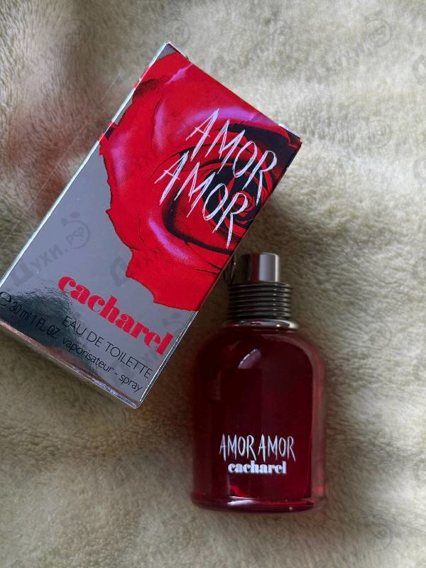 Парфюмерия Amor Amor от Cacharel