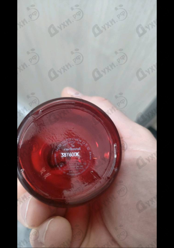 Парфюмерия Amor Amor от Cacharel