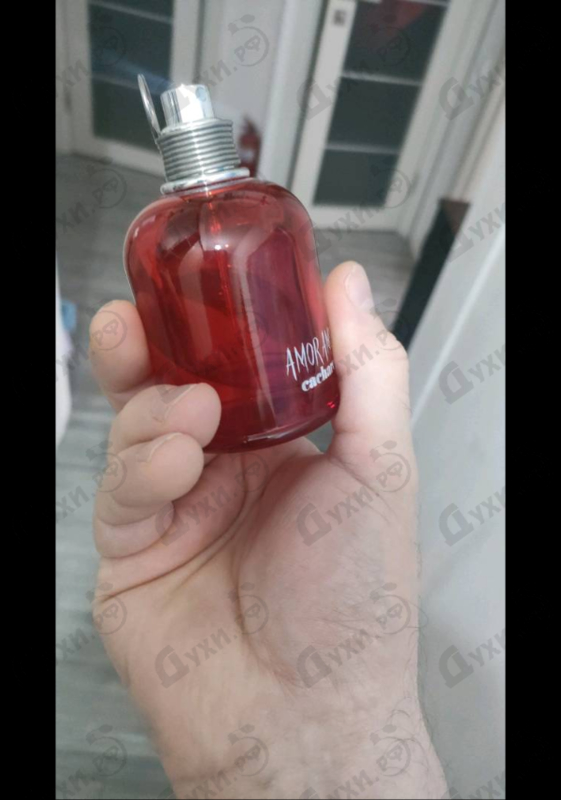 Отзывы Cacharel Amor Amor