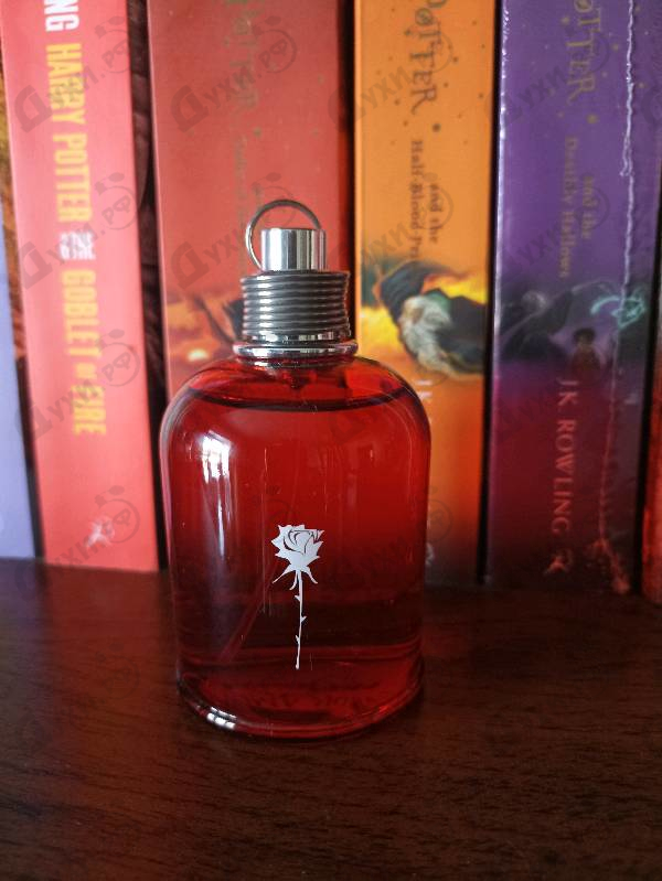 Купить Amor Amor от Cacharel