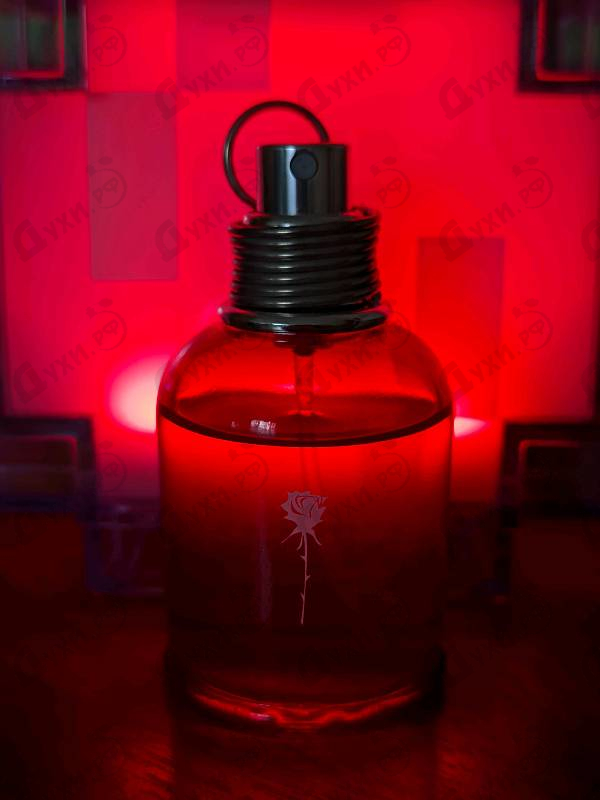 Парфюмерия Amor Amor от Cacharel