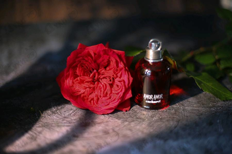 Парфюмерия Amor Amor от Cacharel