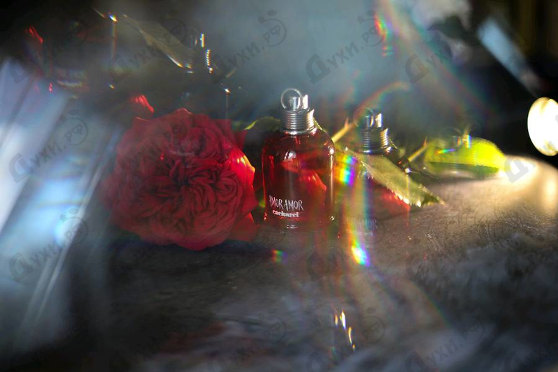 Парфюмерия Amor Amor от Cacharel