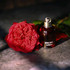 Купить Amor Amor от Cacharel