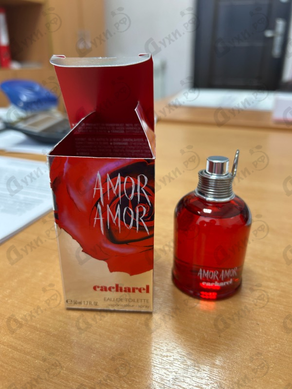 Парфюмерия Amor Amor от Cacharel
