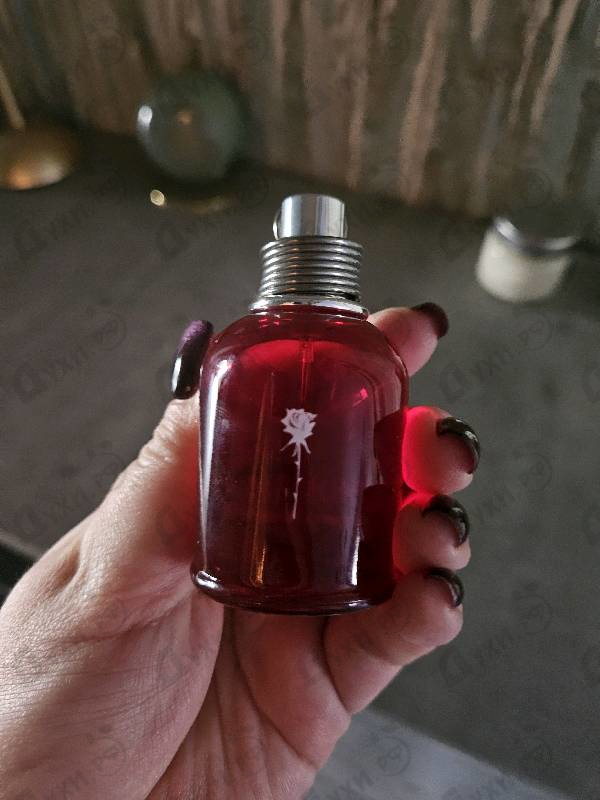 Купить Amor Amor от Cacharel