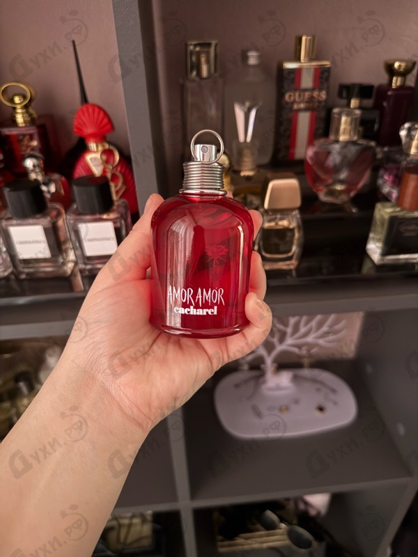 Парфюмерия Amor Amor от Cacharel