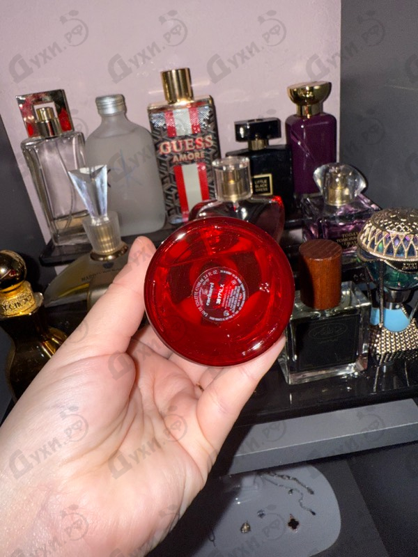 Купить Amor Amor от Cacharel