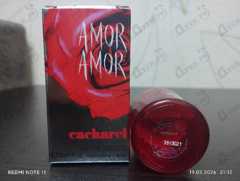 Купить Cacharel Amor Amor