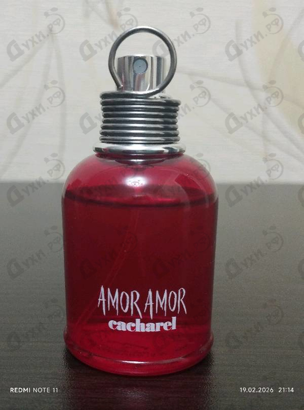 Купить Amor Amor от Cacharel