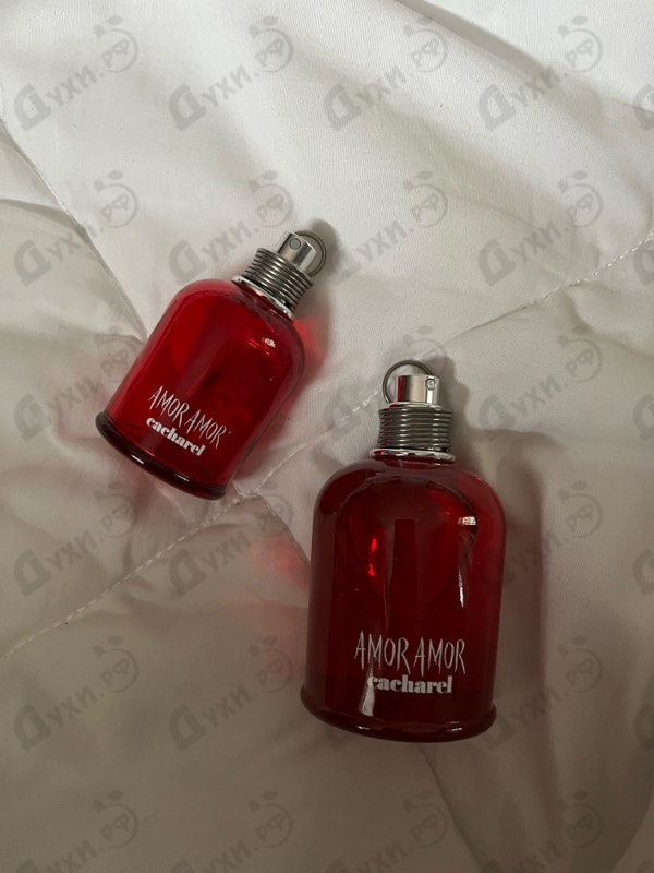 Парфюмерия Amor Amor от Cacharel