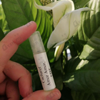 Духи Amor Amor от Cacharel