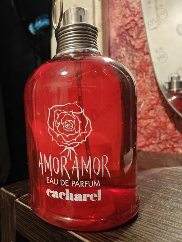 Отзыв Cacharel Amor Amor