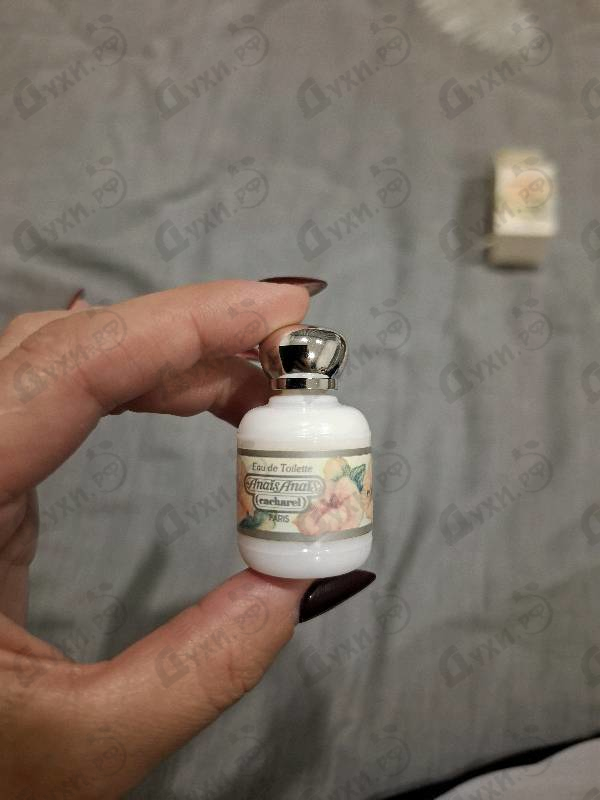 Парфюмерия Anais Anais от Cacharel