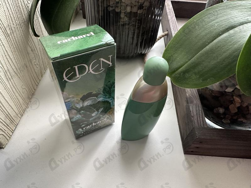 Парфюмерия Cacharel Eden Купить Eden от Cacharel