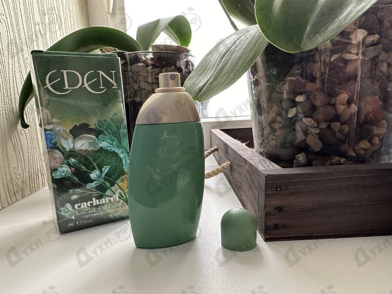 Духи Eden от Cacharel Отзыв Cacharel Eden