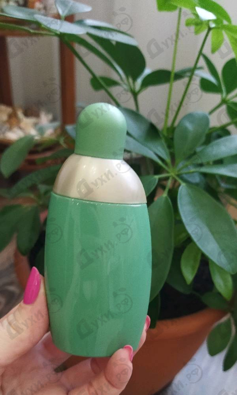 Парфюмерия Eden от Cacharel