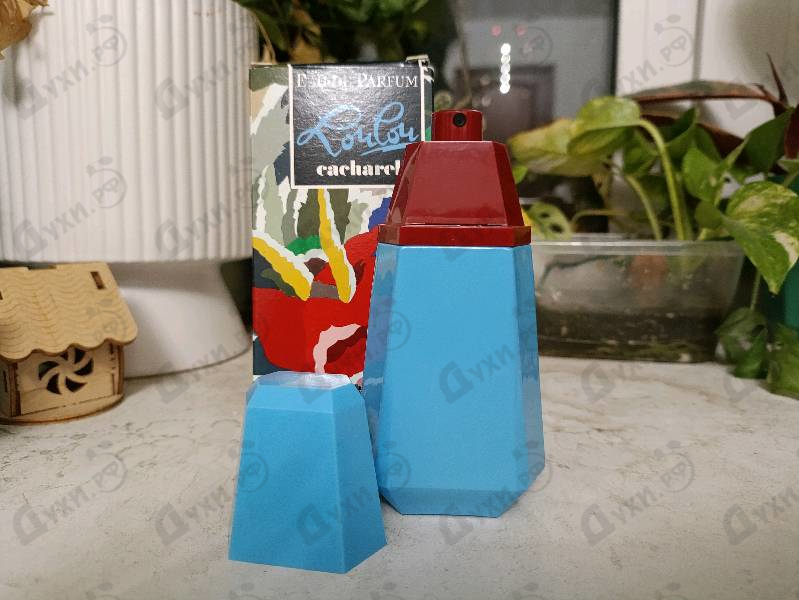 Купить Cacharel Lou Lou