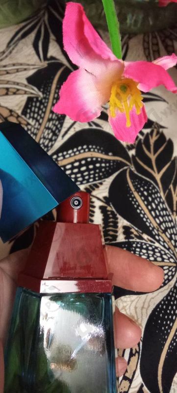 Купить Lou Lou Blue от Cacharel