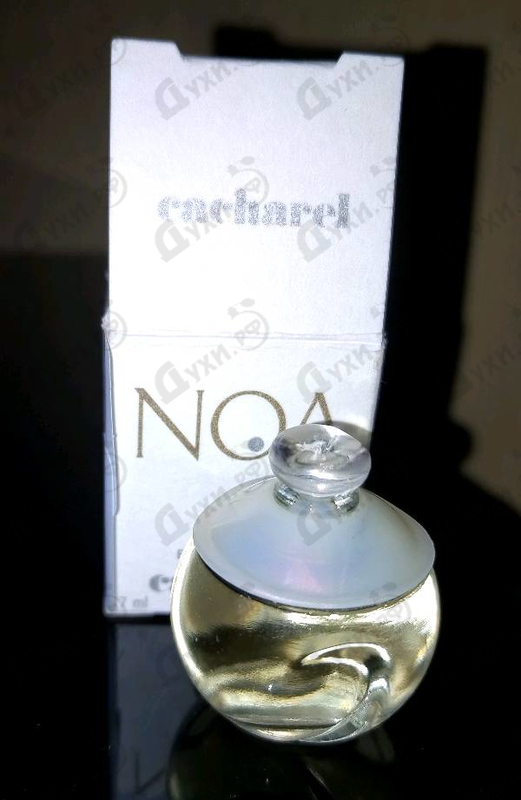 Купить Cacharel Noa