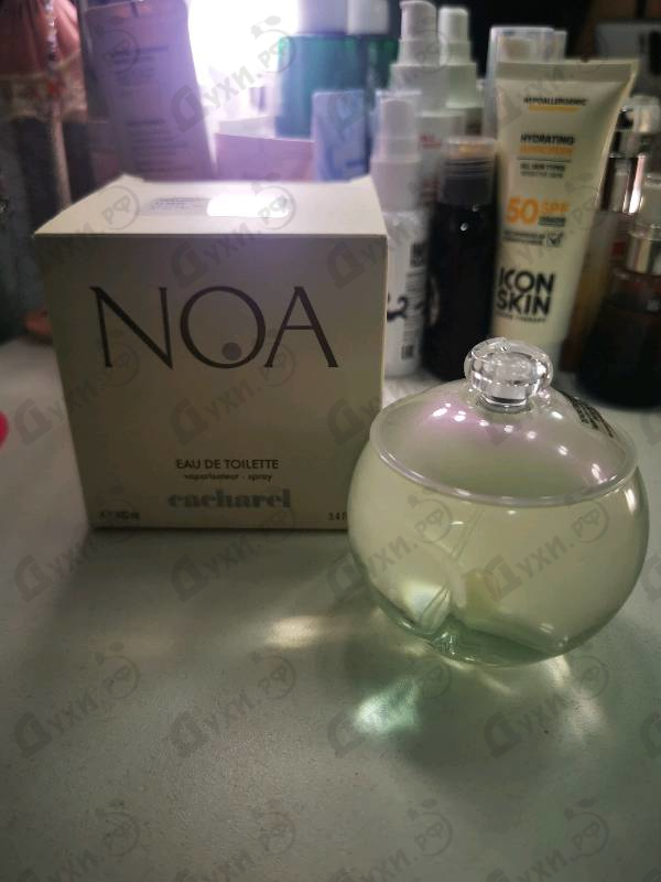 Купить Noa от Cacharel