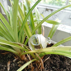 Духи Noa от Cacharel