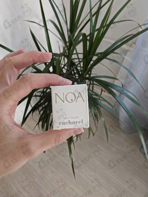 Духи Noa от Cacharel