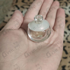 Духи Noa от Cacharel