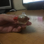 Отзывы Cacharel Noa