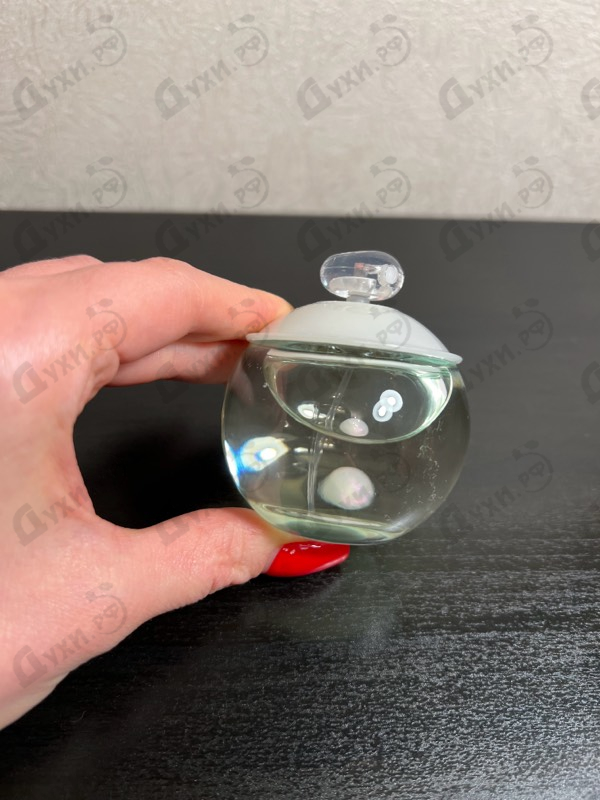 Купить Noa от Cacharel