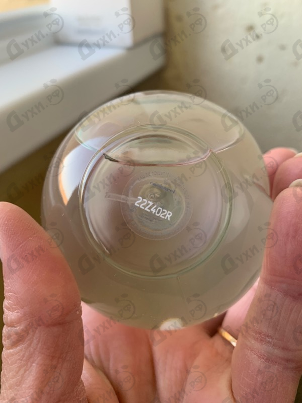 Парфюмерия Noa от Cacharel