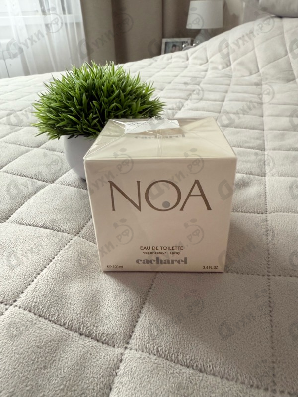 Купить Noa от Cacharel