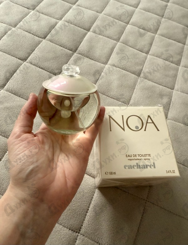 Купить Noa от Cacharel