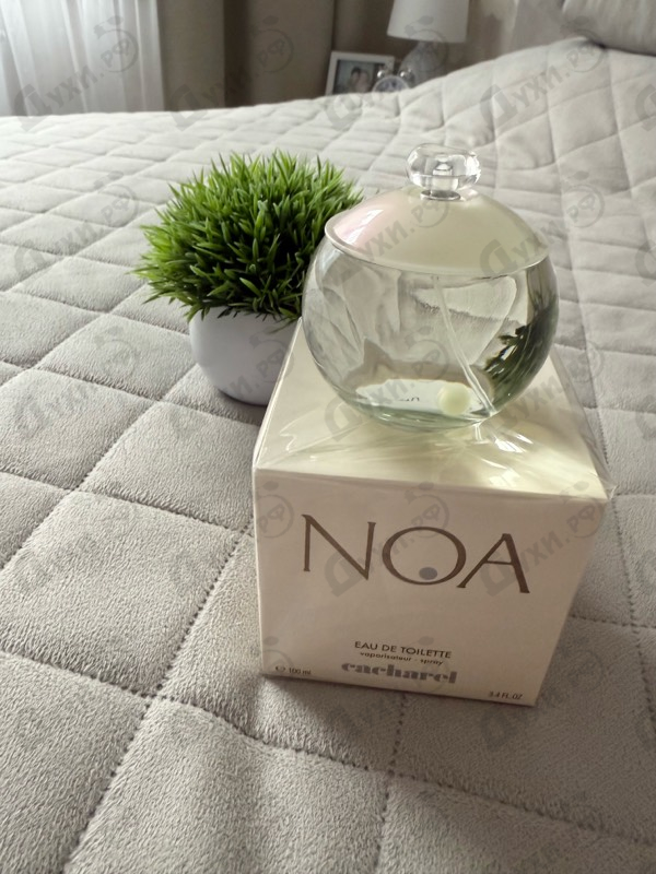 Духи Noa от Cacharel
