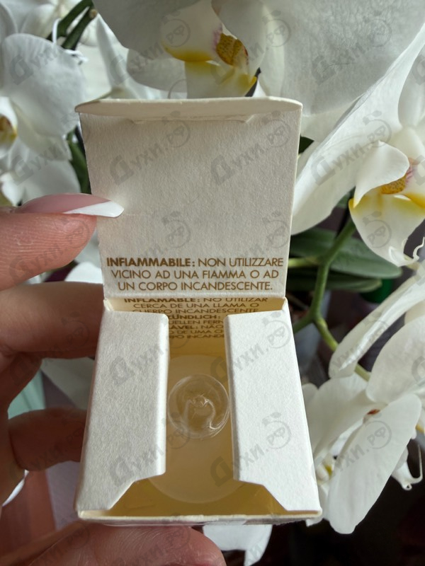 Парфюмерия Noa от Cacharel