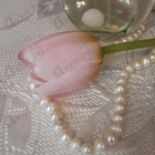 Отзыв Cacharel Noa