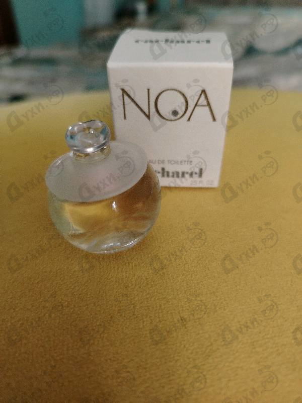 Отзывы Cacharel Noa