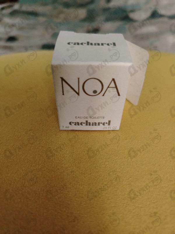 Купить Noa от Cacharel